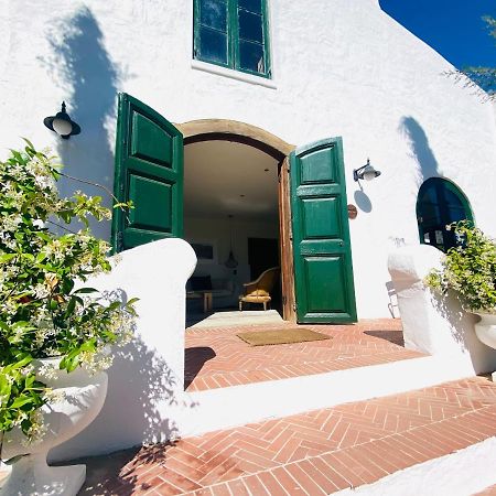 Vineyard Retreat Franschhoek Exterior foto